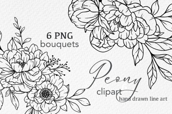 Download Floral Line Art, PEONY Line Drawing - Draw Collection