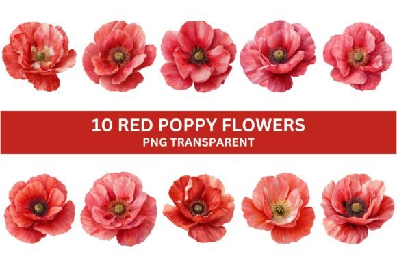 Download 10 Vibrant Red Poppy Flower PNG Set - Flower png Collection