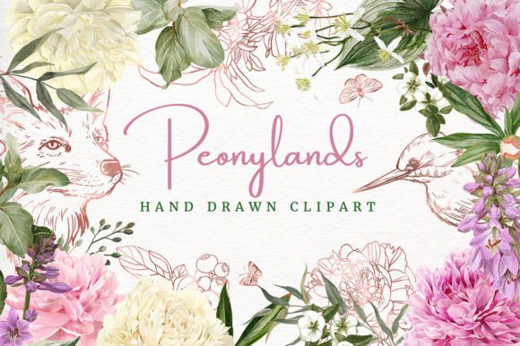 Download Peony Land, Hand Drawn Clipart - Draw Collection