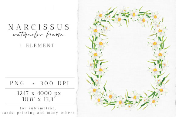 Download Watercolor Narcissus Frame Clipart - Premium Resources