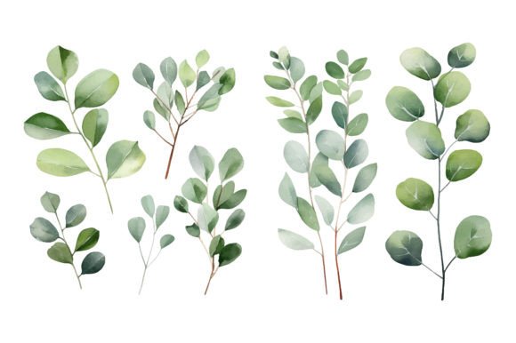 Download Baby Blue Watercolor Eucalyptus Clipart - Baby blue watercolor Collection